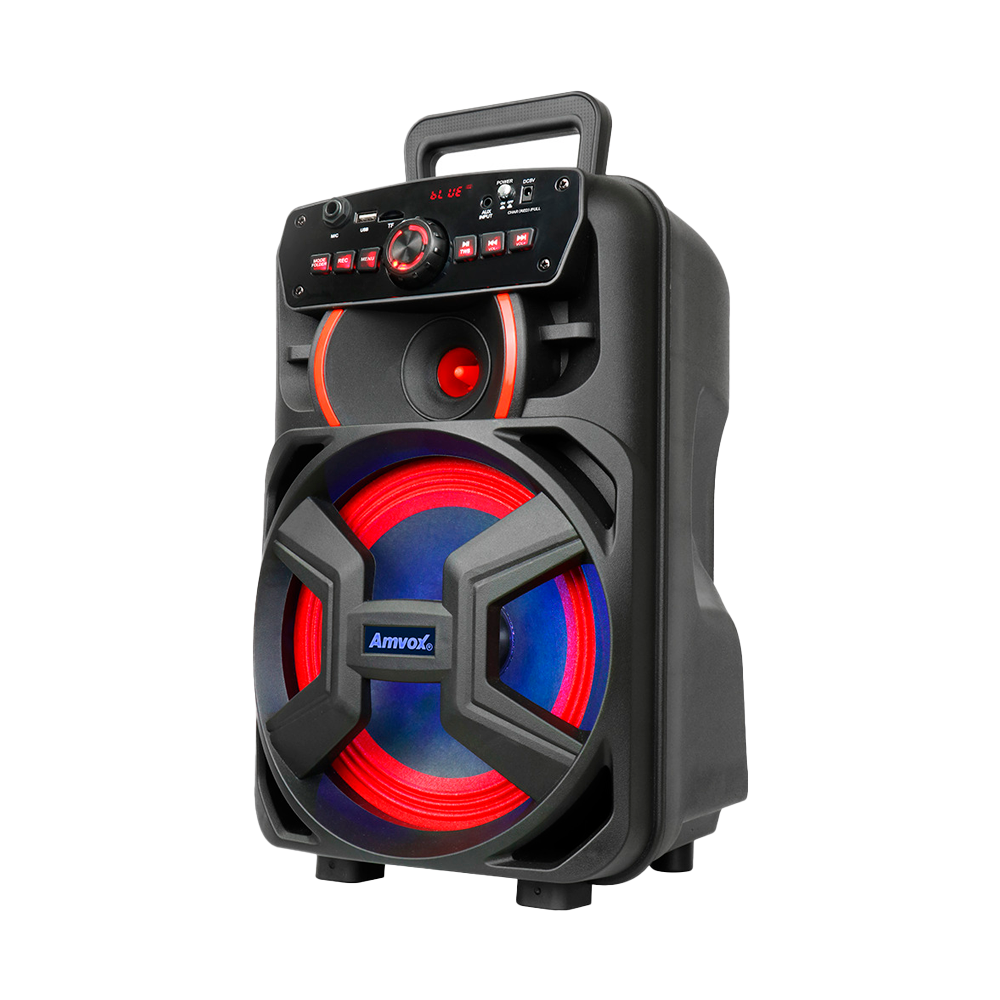 Caixa Amplificada ACA 221 GIGANTE II