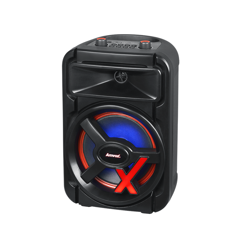 Caixa Amplificada ACA 251 NewX