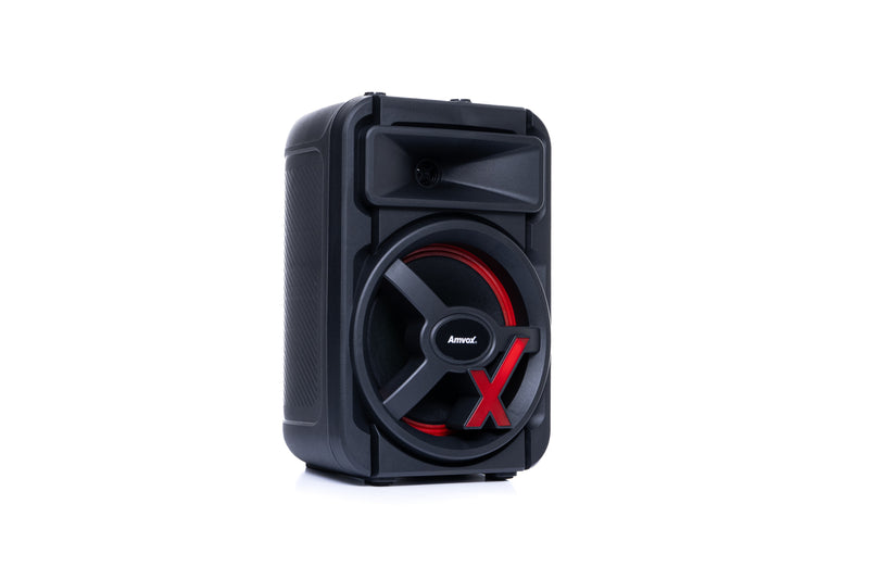 Caixa Amplificada ACA 251 NewX