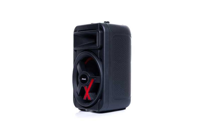 Caixa Amplificada ACA 251 NewX