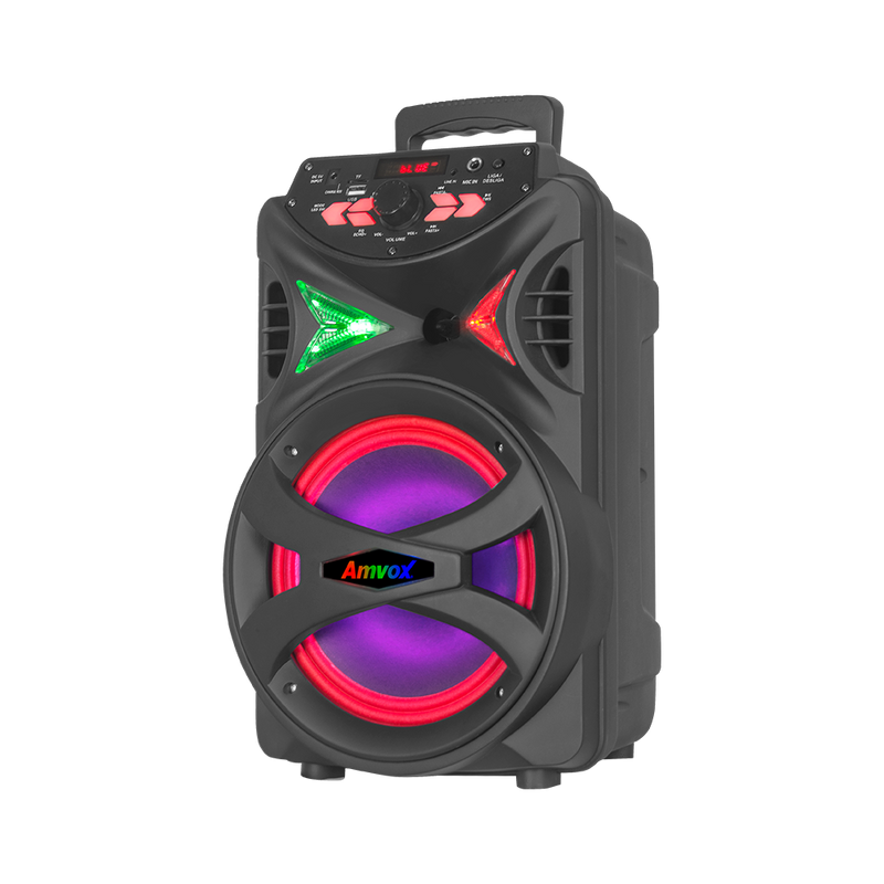 Caixa Amplificada ACA 255 HIT