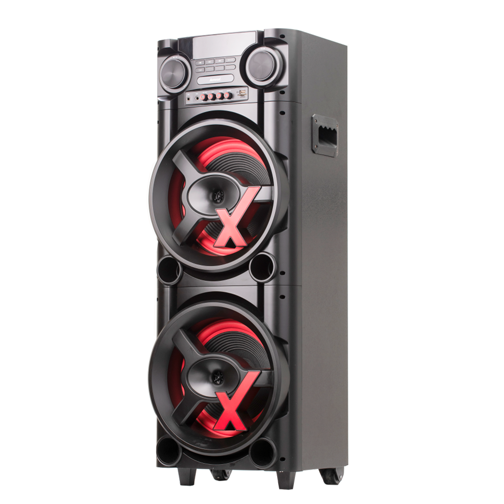 ACA 1300 NewX Amplified Speaker