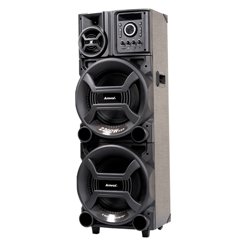 Caixa Amplificada Pesadão Black ACA 2201