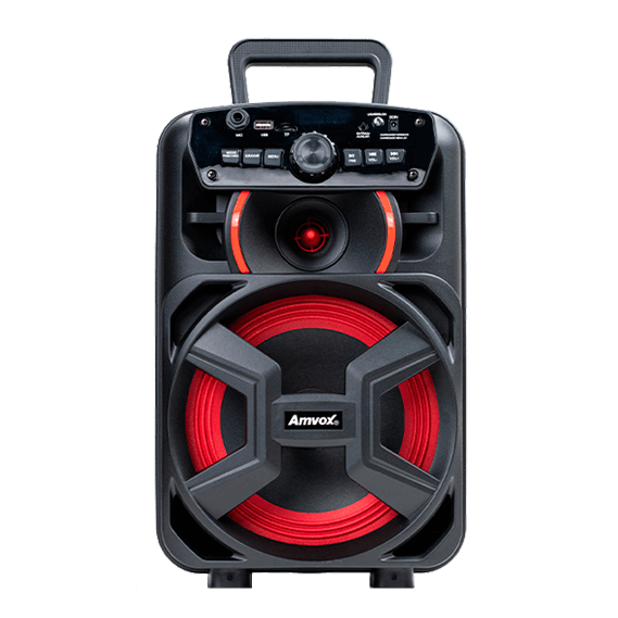 Caixa Amplificada ACA 221 GIGANTE II