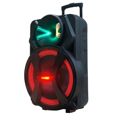 ACA 1100 DEZOITÃO Amplified Speaker