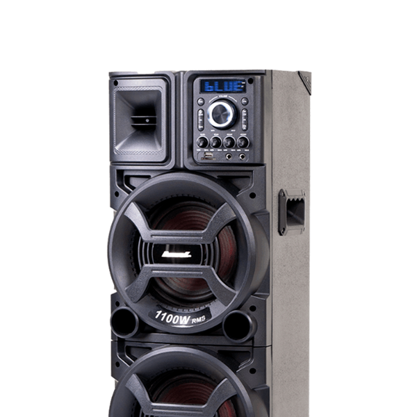 Caixa Amplificada Duplo 8 Black ACA 1101