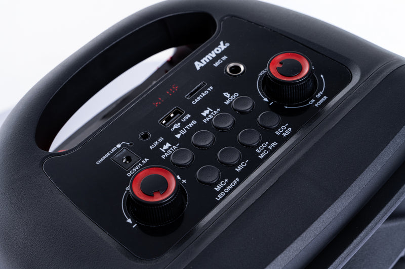 Caixa Amplificada ACA 251 NewX