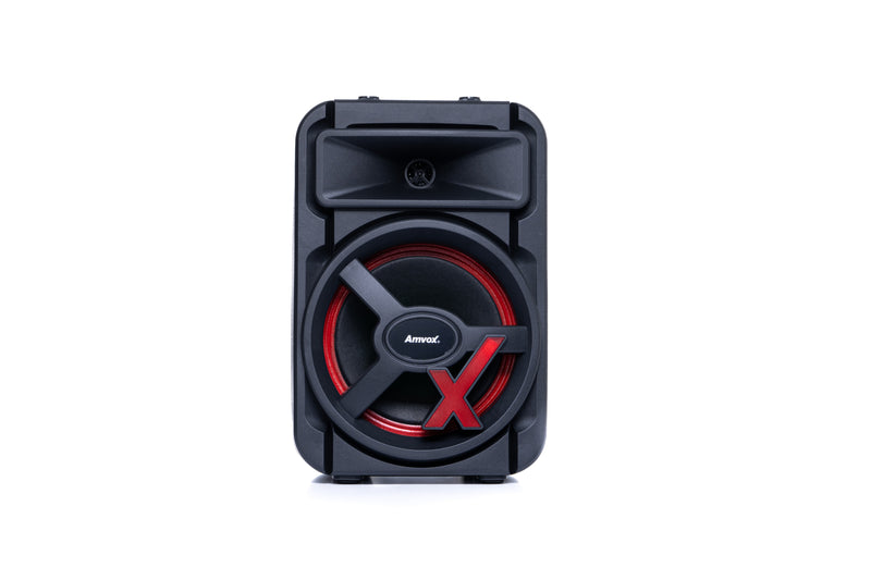 Caixa Amplificada ACA 251 NewX