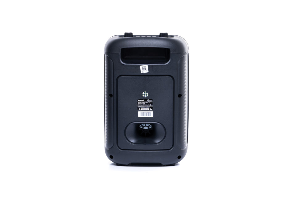 Caixa Amplificada ACA 251 NewX