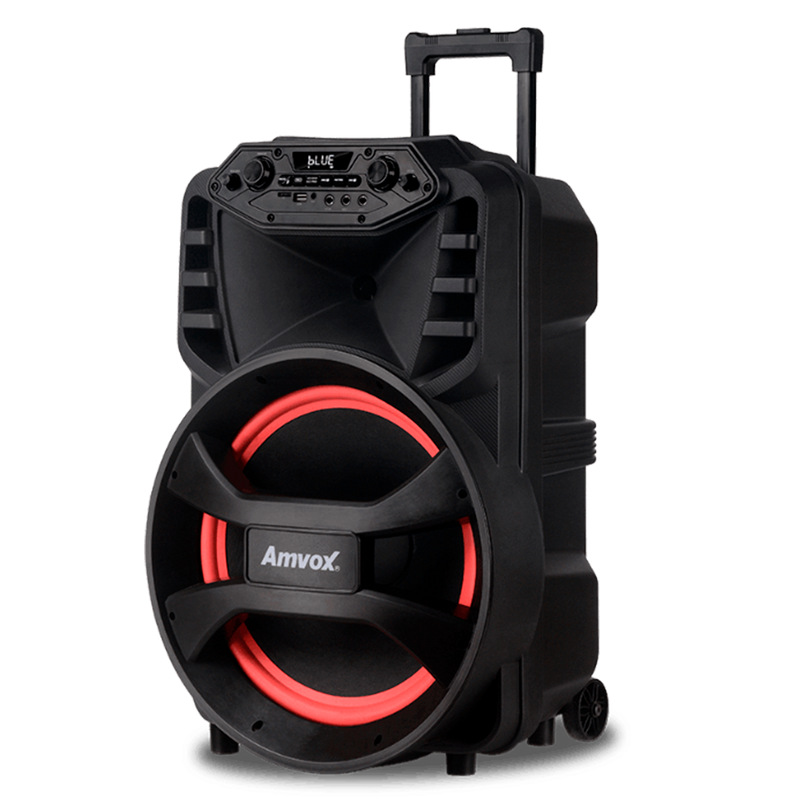 Vegas ACA 880 Powered Speaker