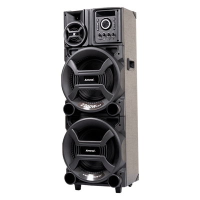 Heavy Black ACA 2201 Amplified Speaker