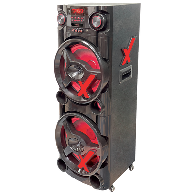 ACA 2900 NewX Amplified Speaker