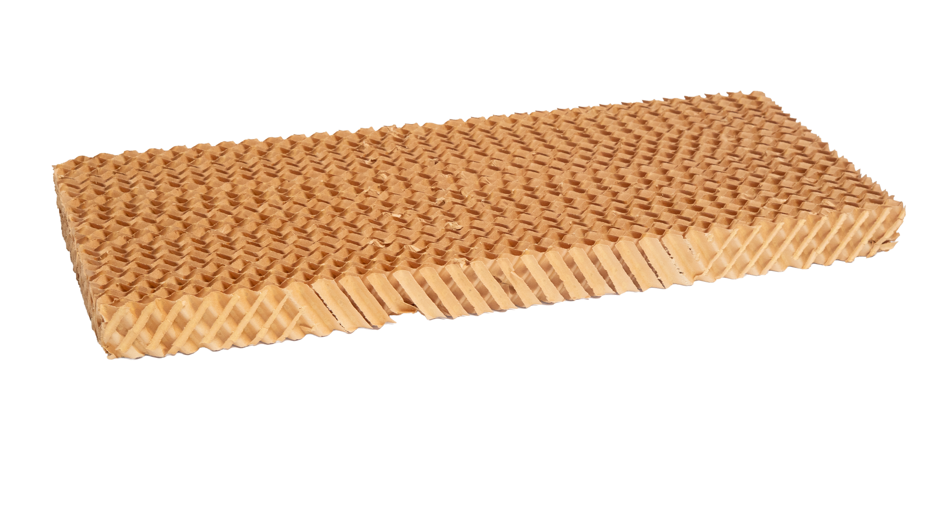 COLMEIA LATERAL ACL 130