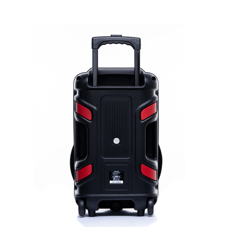 ACA 680 FANTASY Amplified Speaker
